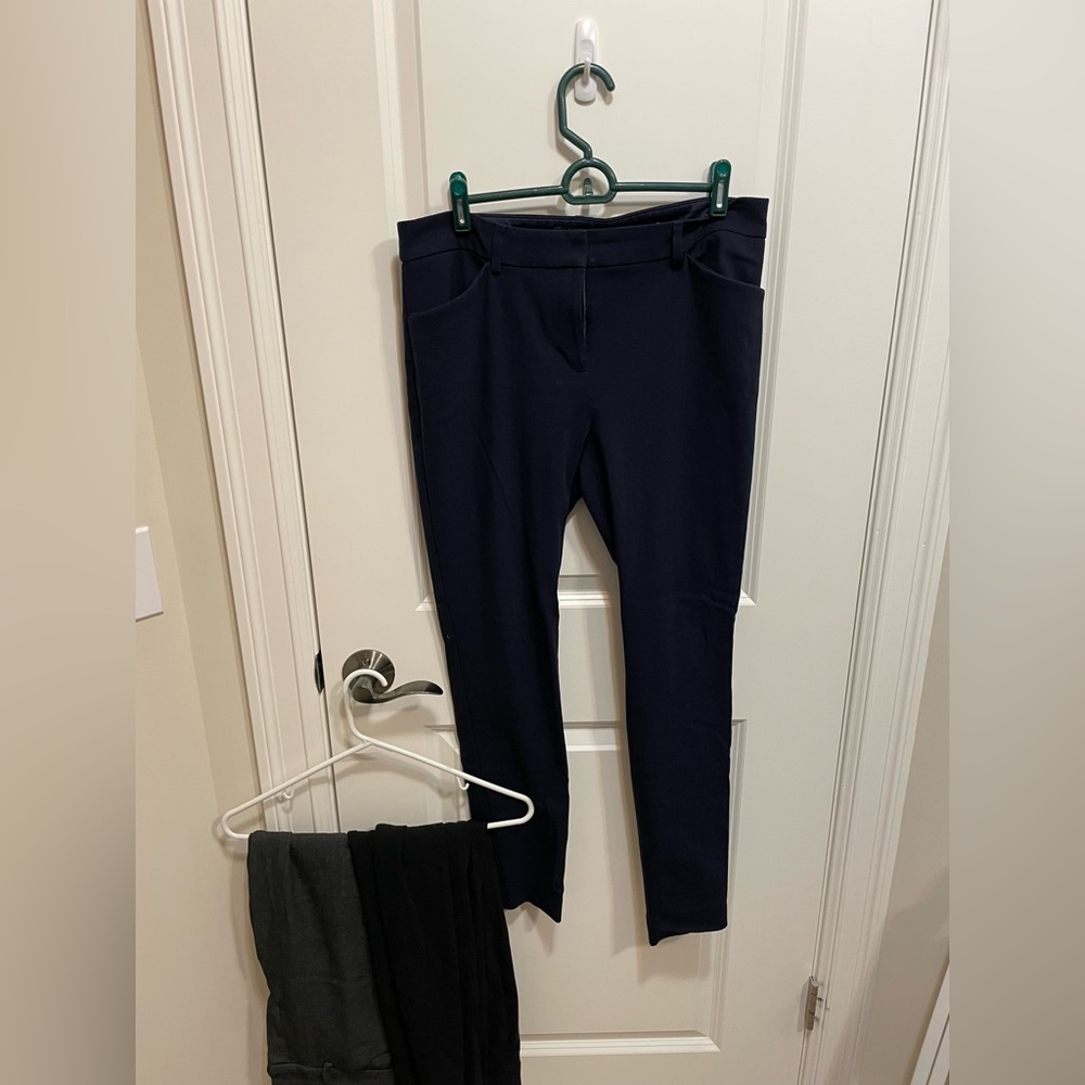 Express Stretch+ Pants